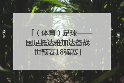 （体育）足球——国足抵达雅加达备战世预赛18强赛